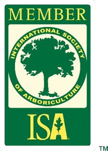 Member ISA