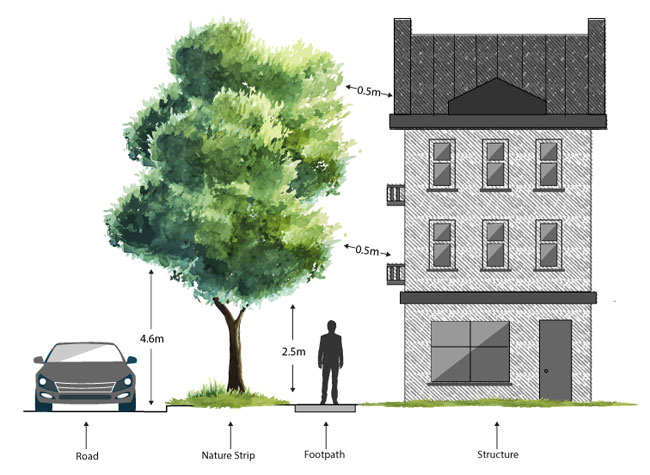 tree distancing diagram