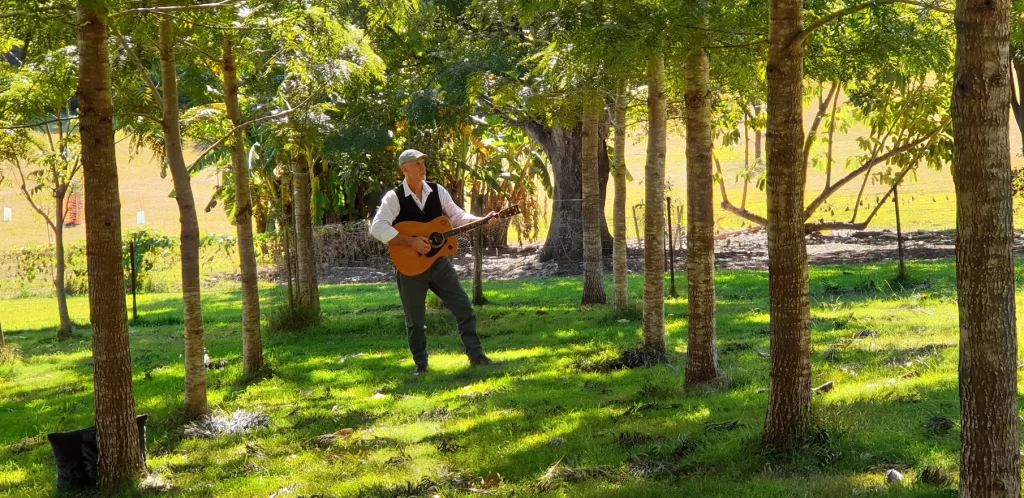 grahame guitar in trees